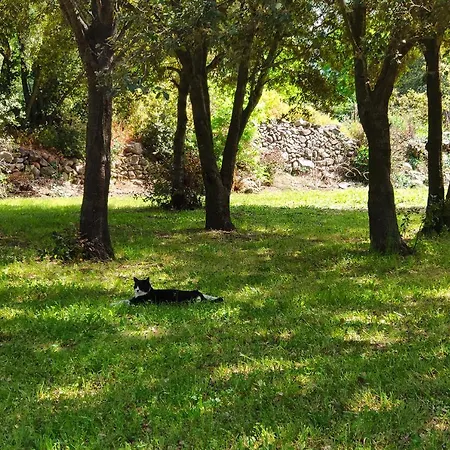 Apartamento Casa Di U Cuginu *