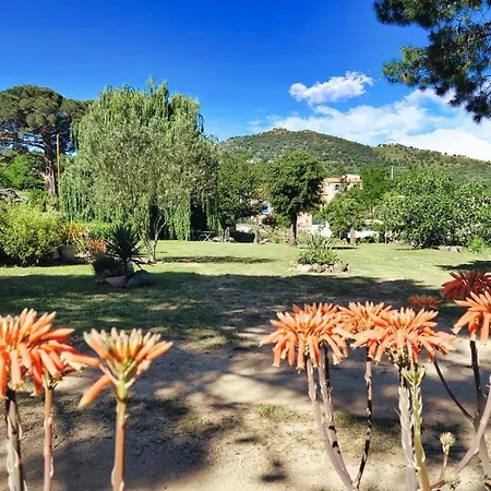 Lägenhet Casa Di U Cuginu *