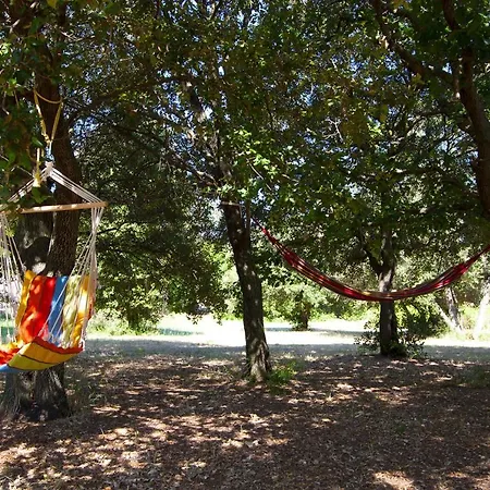 Casa Di U Cuginu Apartment