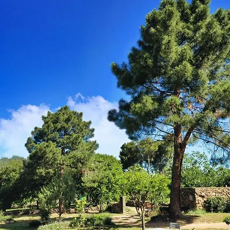 Lägenhet Casa Di U Cuginu *