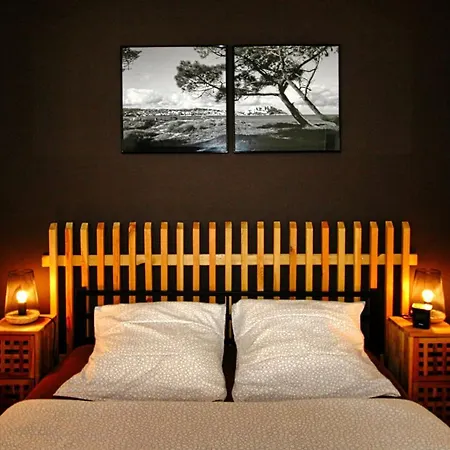 Casa Di U Cuginu Lägenhet