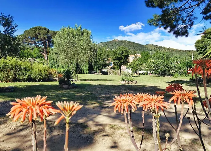 公寓 Casa Di U Cuginu *