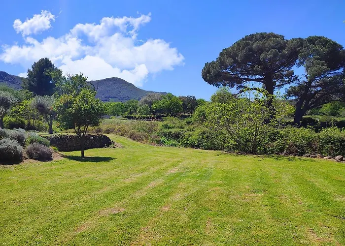 公寓 Casa Di U Cuginu