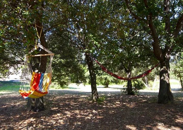 Casa Di U Cuginu 公寓