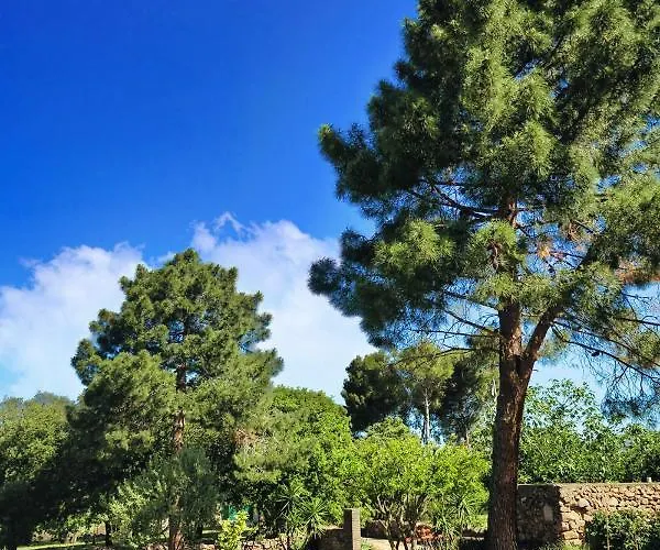 公寓 Casa Di U Cuginu *