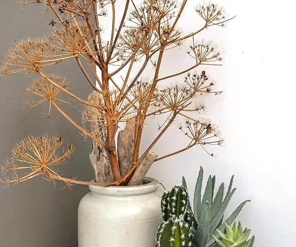 Casa Di U Cuginu 公寓 *